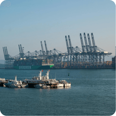 Cargo cranes